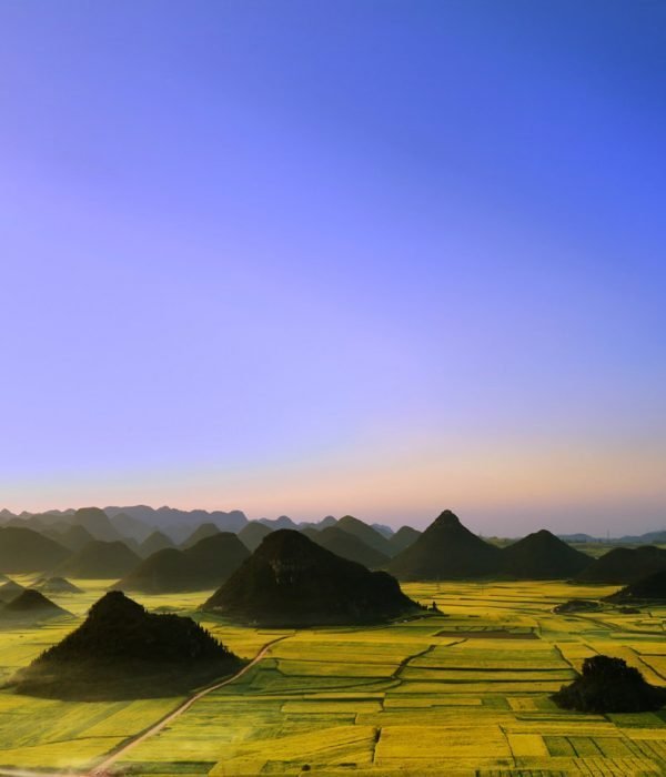 11 DAYS PUER TEA PLANTATION TOUR IN THE SOUTH PART OF YUNNAN
