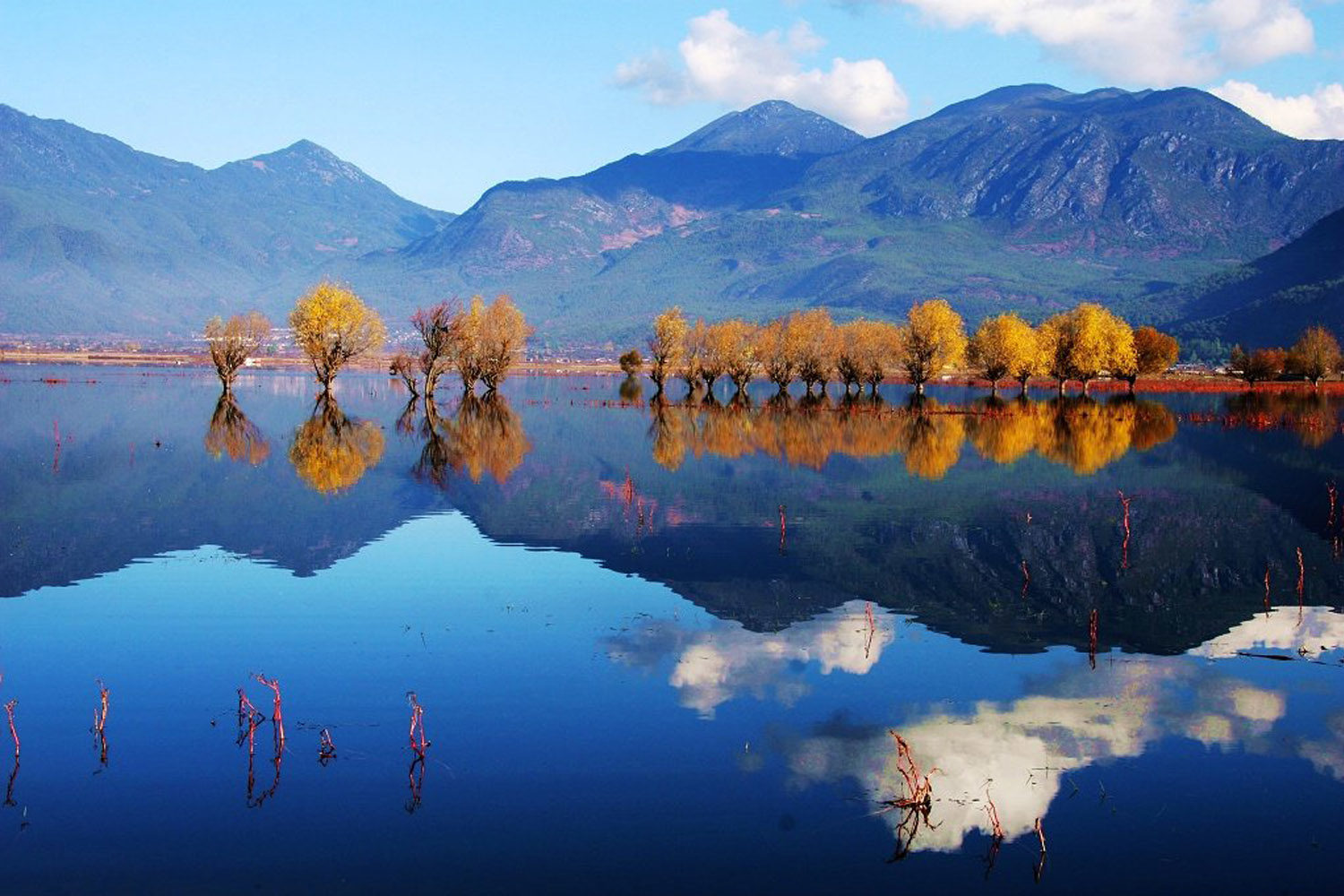 4 Days Tea & Horse Caravan Road Hiking Tour in Lijiang