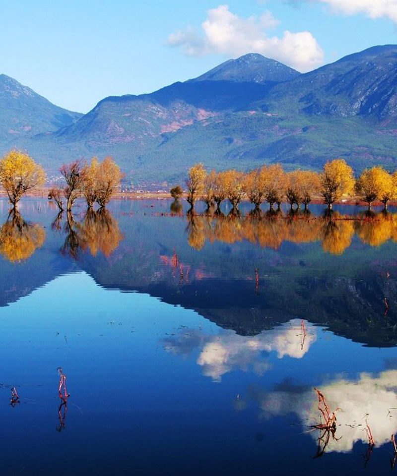4 Days Tea & Horse Caravan Road Hiking Tour in Lijiang