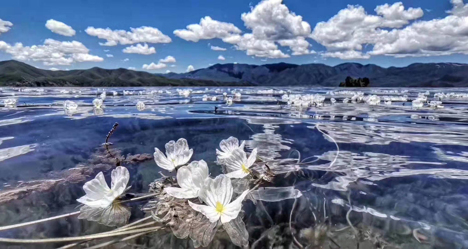 6 days Trekking Tour from Lijiang to Lugu Lake