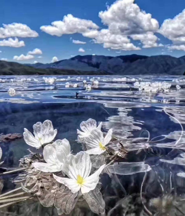 6 days Trekking Tour from Lijiang to Lugu Lake