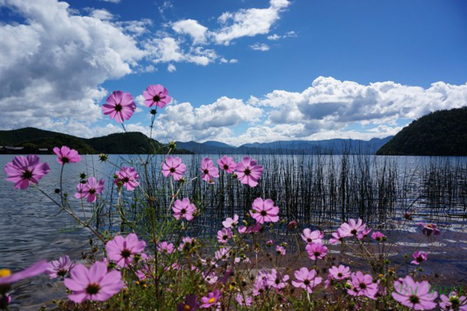 6 days Trekking Tour from Lijiang to Lugu Lake
