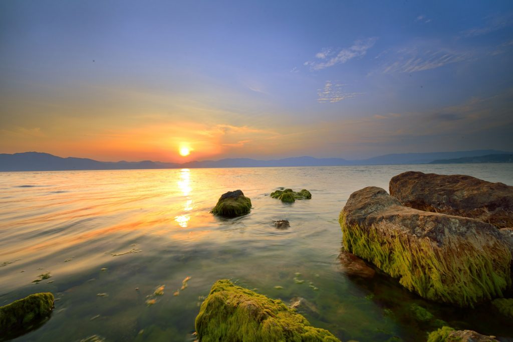 Landscape view