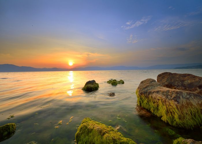 Landscape view