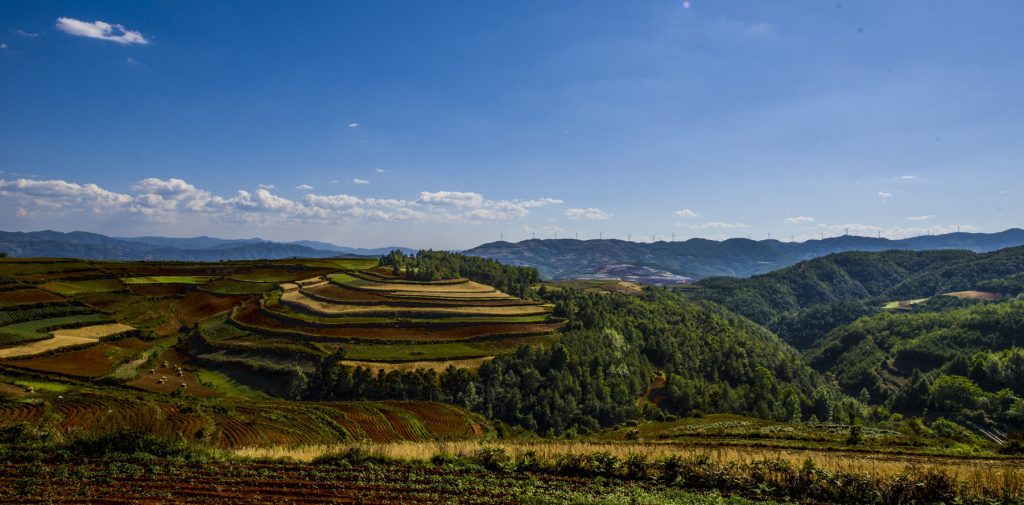 Landscape view