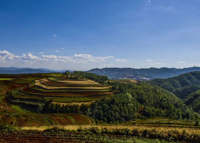 Landscape view